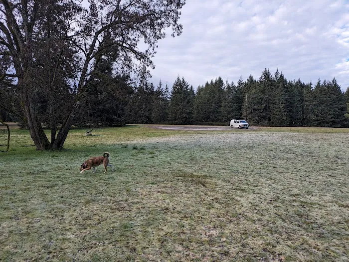 Dog Park 5