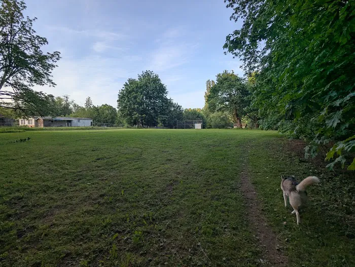 Burley Park 1