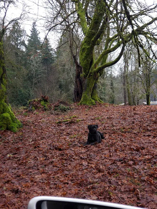Burley Park 4