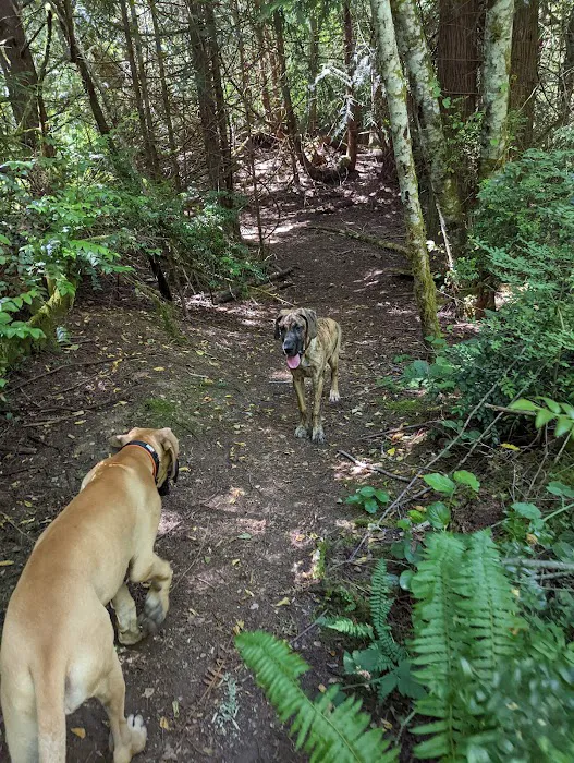 Bandix Dog Park 5