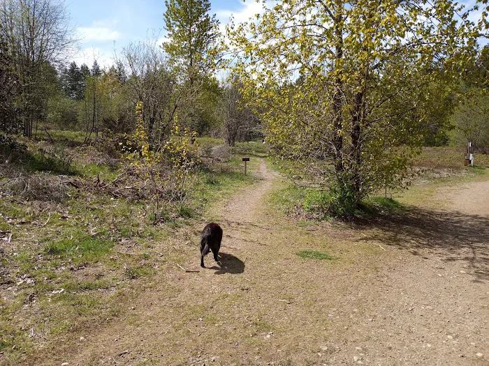 Bandix Dog Park 3