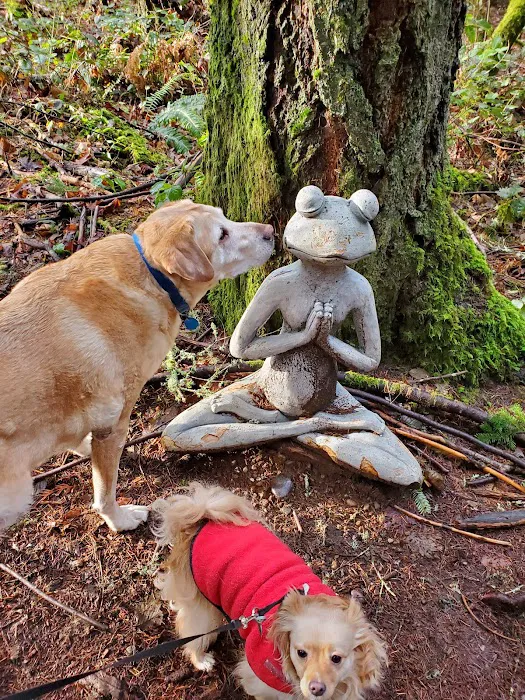 Bandix Dog Park 6