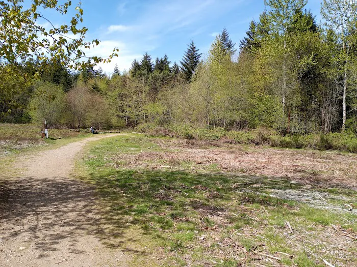 Bandix Dog Park 2