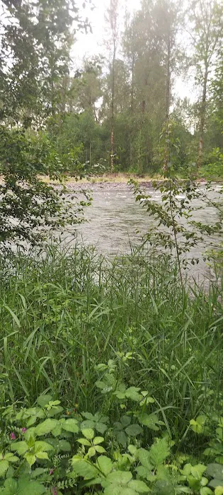 Orting Dog Park 4