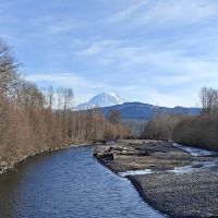 Orting Dog Park ico
