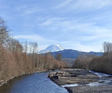 Orting Dog Park