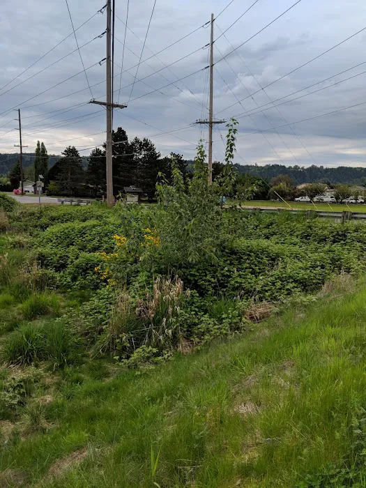 Orting Dog Park 6