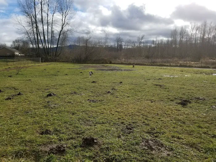 Orting Dog Park 2