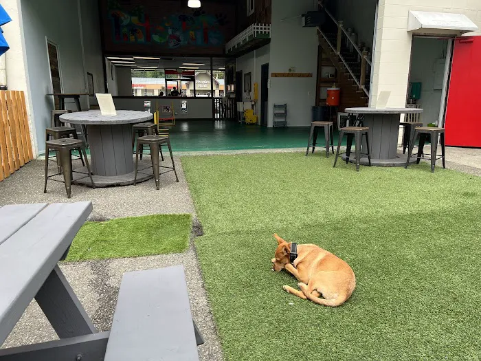 Pints and Pups 1
