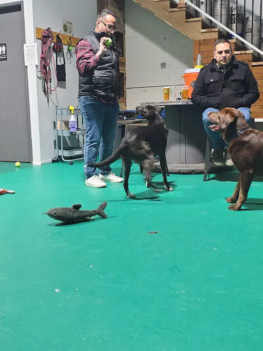 Pints and Pups 2
