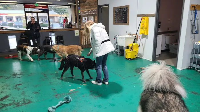 Pints and Pups 4