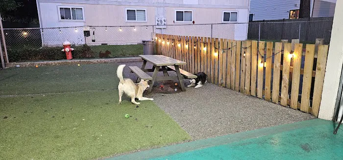 Pints and Pups 9