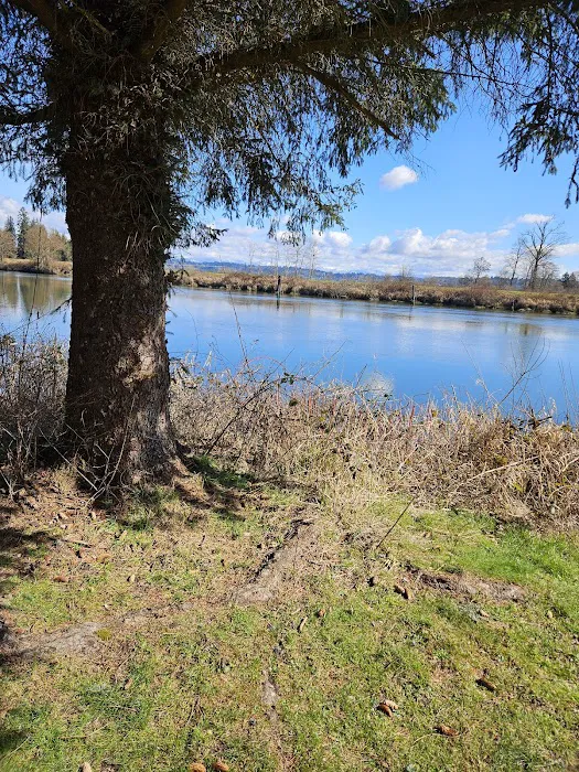 Lowell Riverfront Dog Park 2