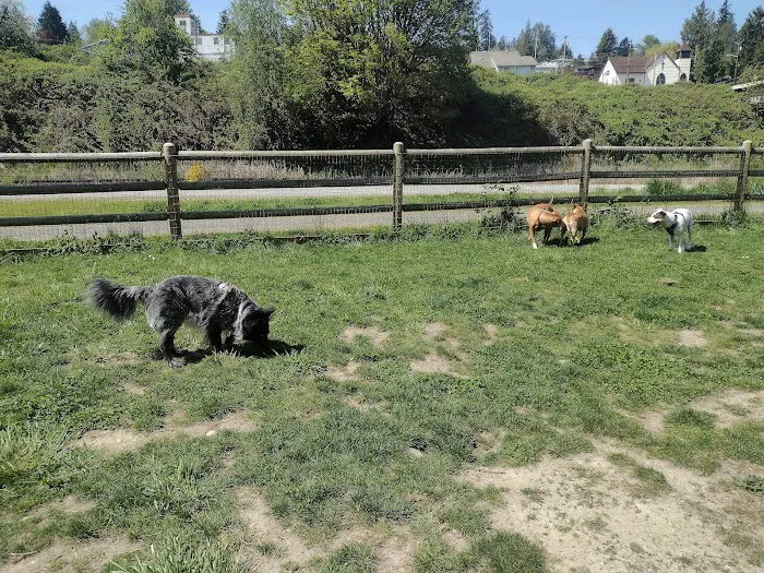 Lowell Riverfront Dog Park 4