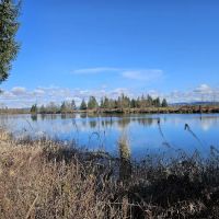 Lowell Riverfront Dog Park ico