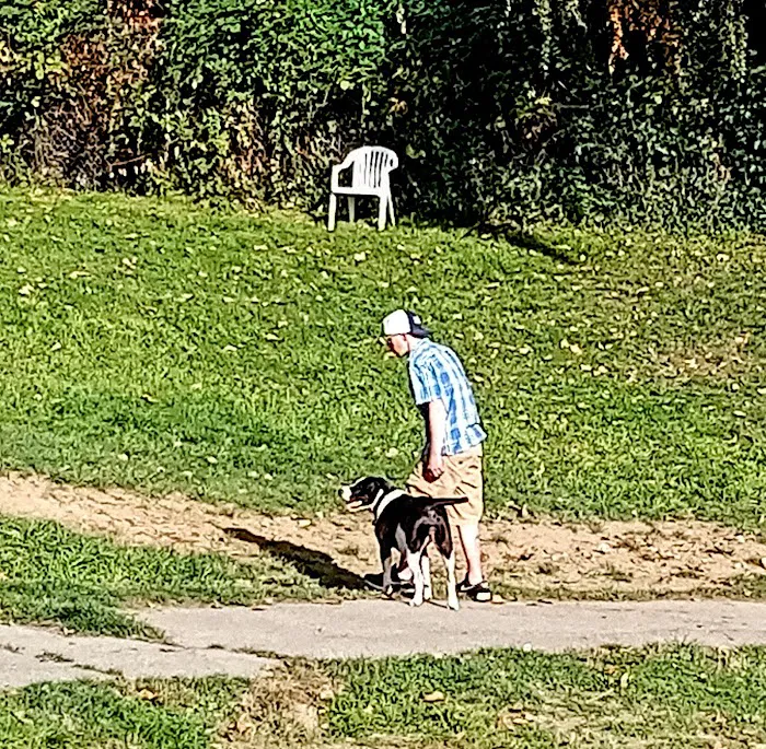 Lowell Dog Park 3