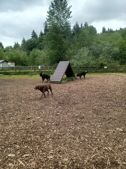 Tails and Trails Dog Park 8
