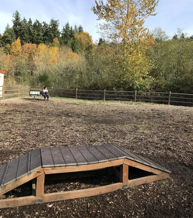 Tails and Trails Dog Park 10