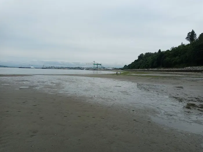 Howarth Off Leash Area 5