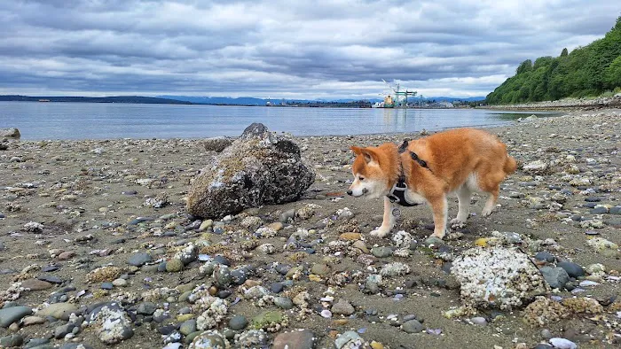 Howarth Off Leash Area 8