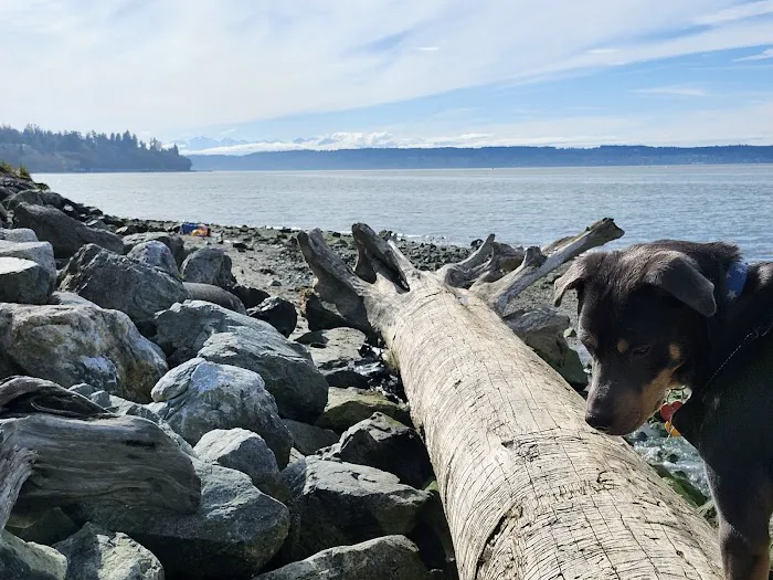 Howarth Off Leash Area 6