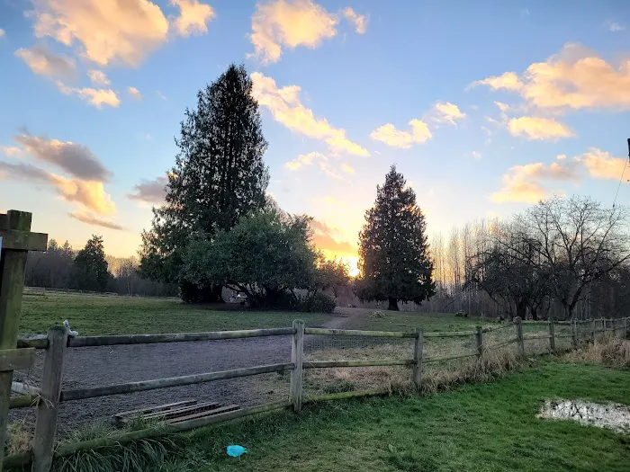 Cavalero Hill Dog Park 5