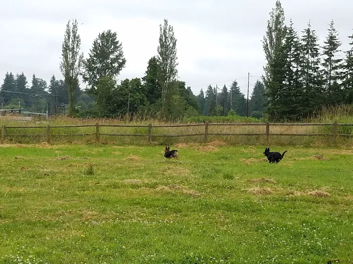 Cavalero Hill Dog Park 7