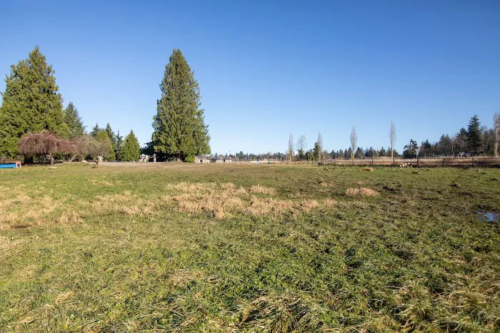 Cavalero Hill Dog Park 1