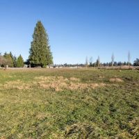 Cavalero Hill Dog Park ico