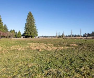 Cavalero Hill Dog Park