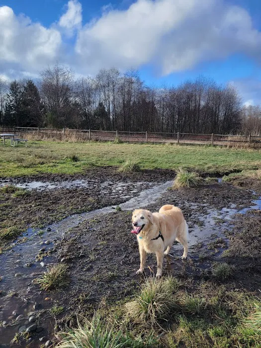Cavalero Hill Dog Park 10