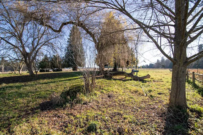 Cavalero Hill Dog Park 3