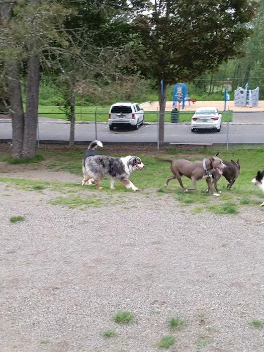 Sultan dog park 1