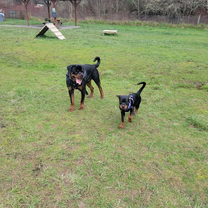 Freddie's Off-Leash Dog Park 5