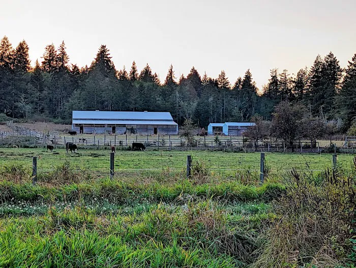 Freddie's Off-Leash Dog Park 3
