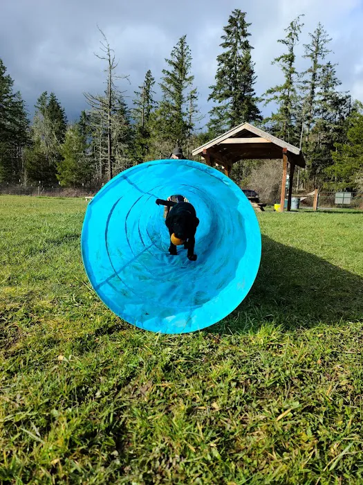 Freddie's Off-Leash Dog Park 6