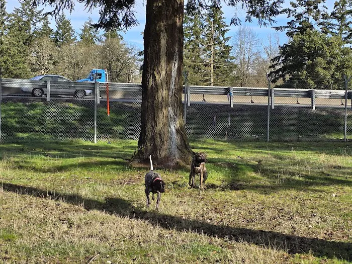 Ft Lewis Dog Park 8