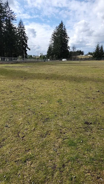 Ft Lewis Dog Park 2