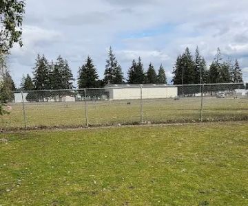 Ft Lewis Dog Park