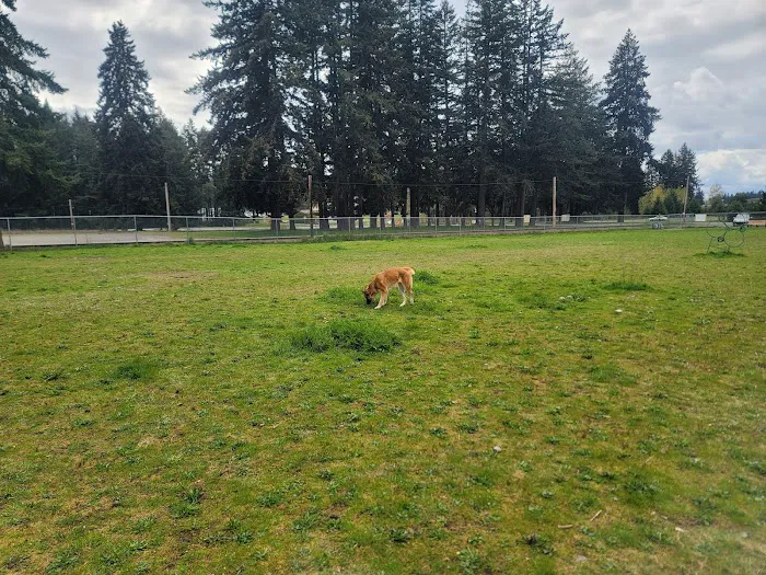 Ft Lewis Dog Park 5