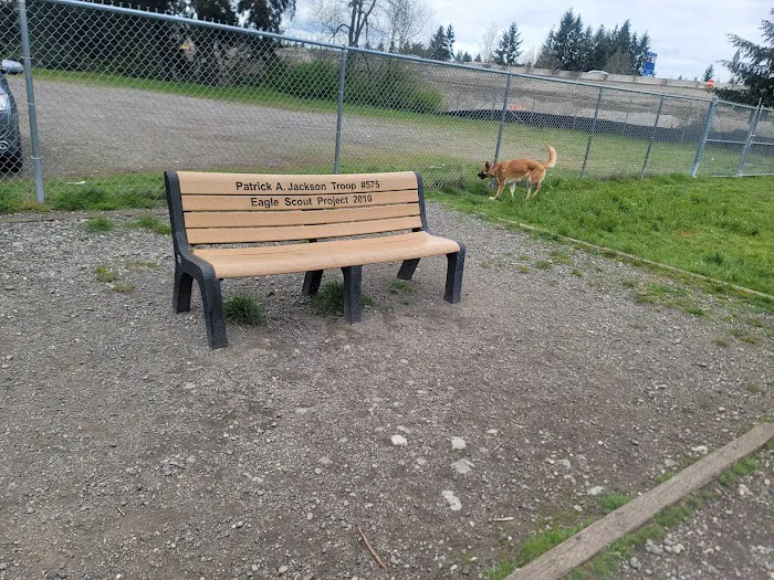 Ft Lewis Dog Park 9