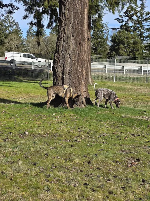 Ft Lewis Dog Park 4