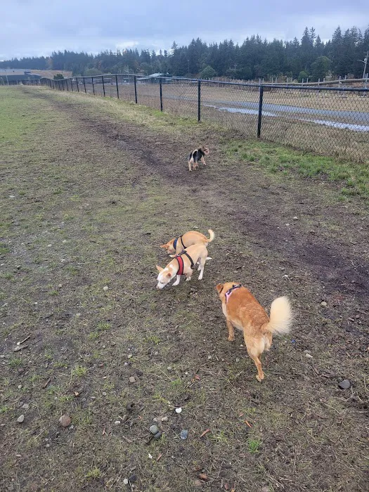 Thurston County Off-Leash Dog Park 6