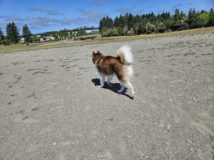 Thurston County Off-Leash Dog Park 10
