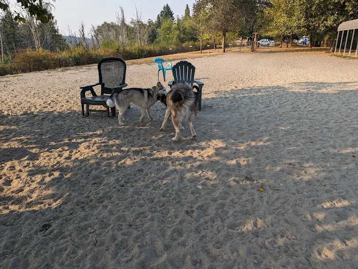 Silverdale Dog Park 5