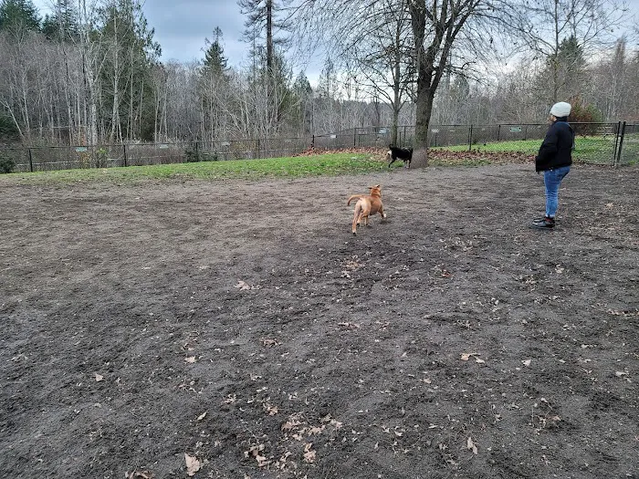 Silverdale Dog Park 6