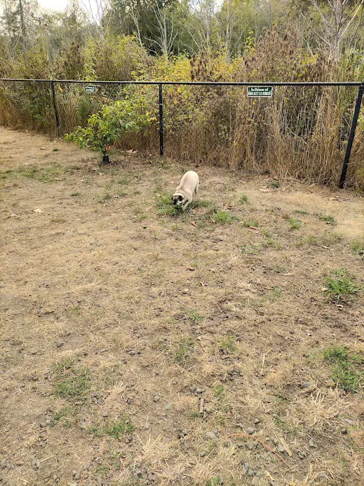 Silverdale Dog Park 2