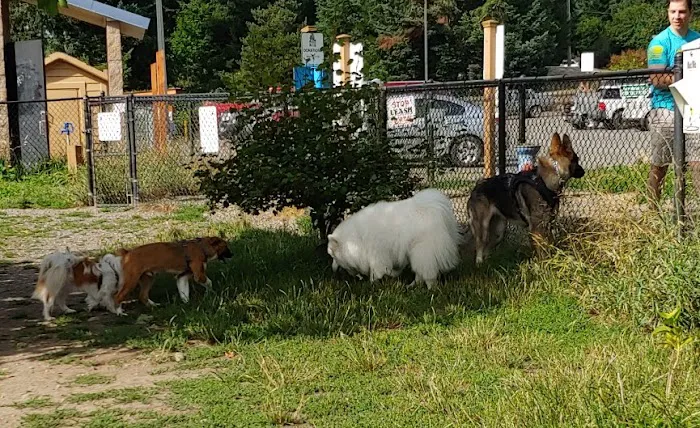 Silverdale Dog Park 1