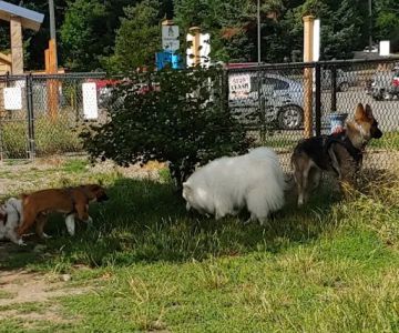 Silverdale Dog Park