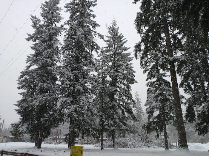 Granite Falls Dog Park 4